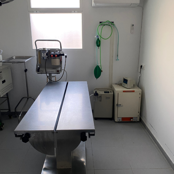 Centro veterinario Horche