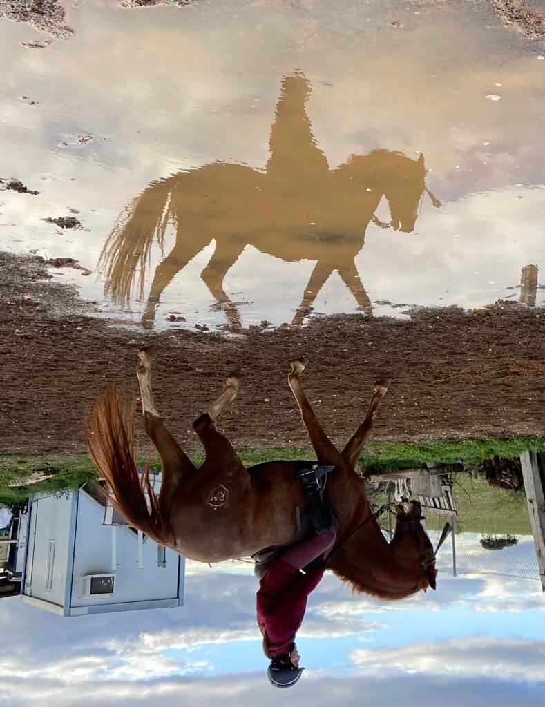 Centro veterinario Horche