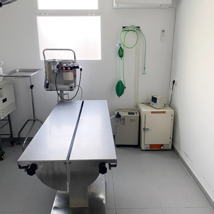 Centro veterinario Horche