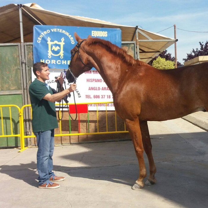 Centro veterinario Horche